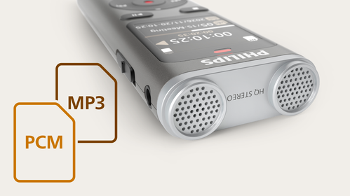 Supports MP3 and PCM formats for easy sharing or lossless recording
